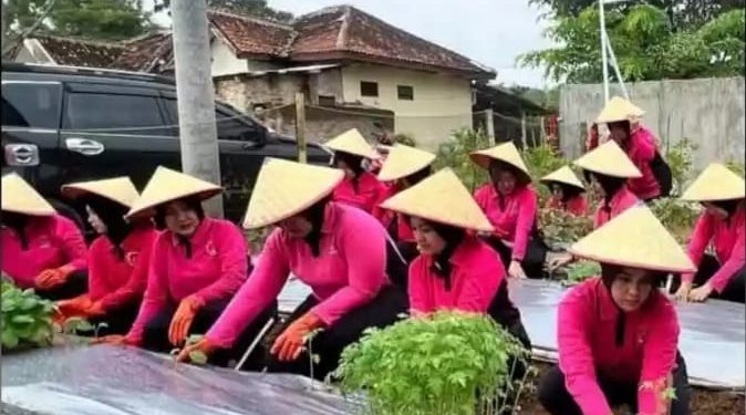 Launching Penguatan Program P2L, Bhayangkari Cabang Way Kanan Manfaatkan Tanam Sayur Mayur