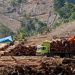 Dugaan Perambahan Hutan Lindung di Mukomuko, Sangat Memprihatinkan