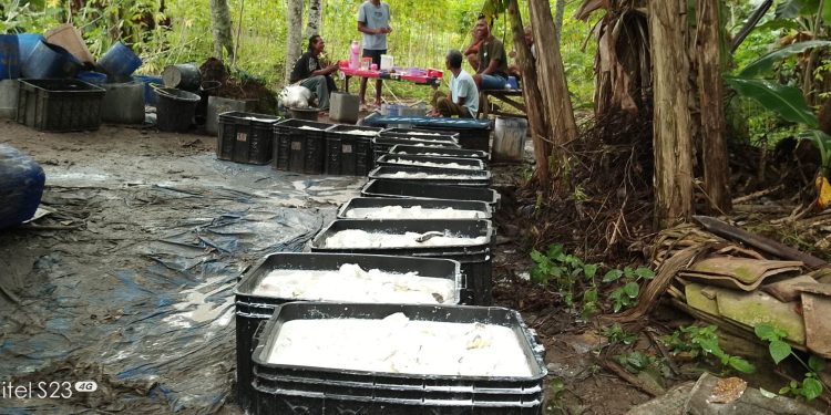 Petani Bergairah Harga Karet Naik