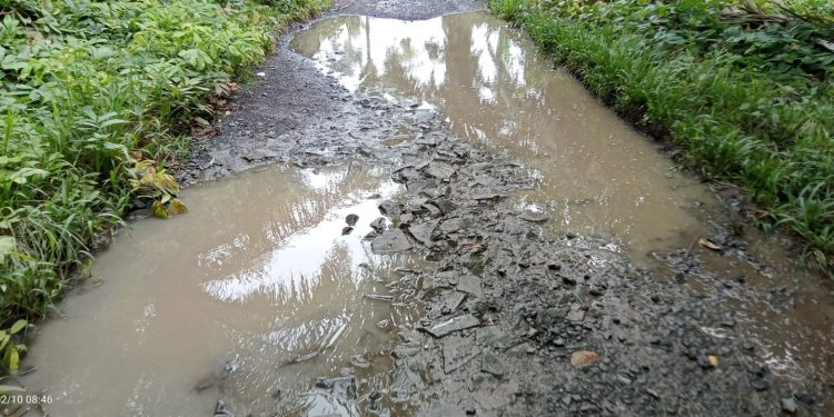 13 Tahun Tidak Tersentuh Pembangunan, Warga Desa Bandar Dalam Harapkan Perbaiki Jalan