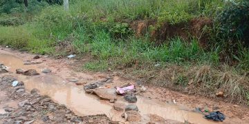 Warga Way Kenanga Merasa di Abaikan Pemda Tubaba, Terkait Kondisi Jalan Rusak