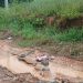 Warga Way Kenanga Merasa di Abaikan Pemda Tubaba, Terkait Kondisi Jalan Rusak