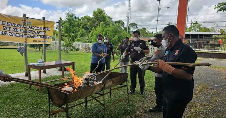 Pemusnahan Barbuk Narkotika Jenis Ganja di Polres Keerom