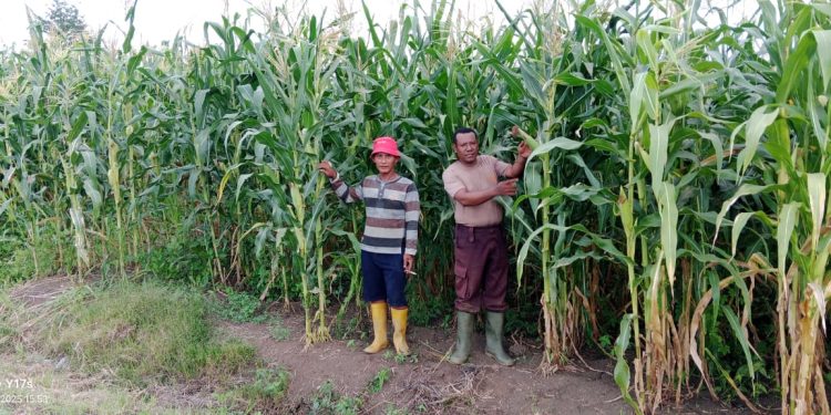 Bhabinkamtibmas Bripka Yance P M Yarangga Aktif Dalam Dampingi Diklat  Suskun, Dukung Program Asta Cita