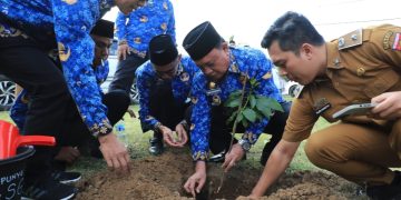 Komitmen Kabupaten Konservasi, Parosil Mabsus Bagikan 240 Pohon Alpukat Siger