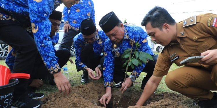 Komitmen Kabupaten Konservasi, Parosil Mabsus Bagikan 240 Pohon Alpukat Siger