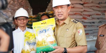 Nadirsyah Lepas Bantuan Pangan Cadangan Pemerintah untuk Warga