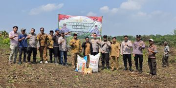 Dukung Ketahanan Pangan di Serang, Polsek Petir Tanam Jagung