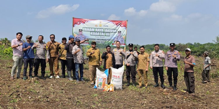 Dukung Ketahanan Pangan di Serang, Polsek Petir Tanam Jagung
