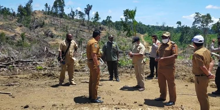 Piter Gusbager : Saya Akan Tindak Tegas Perusak Hutan di Kabupaten Keerom