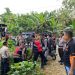 Patroli Gabungan TNI-POLRI dan Satpol PP Perkuat Stabilitas Kamtibmas di Kabupaten Keerom