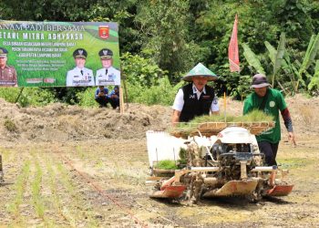 Wujudkan Astacita Presiden Kajati Lampung Bersama Bupati Lambar Tanam Padi Bersama Warga