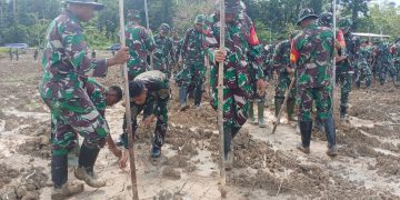 Berkolaborasi Mewujudkan Ketahanan Pangan Wilayah, Kodim 1710/Mimika Bersama Yonif TP 820/DAAI Gelar Tanam Padi GOGO Bersama