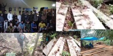 Sumatera Barat Darurat Ilegal Logging, Hutan HPT dan TNKS Terancam Gundul