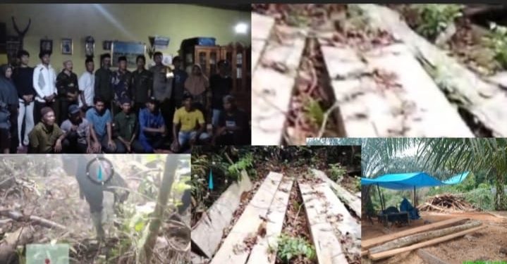 Sumatera Barat Darurat Ilegal Logging, Hutan HPT dan TNKS Terancam Gundul