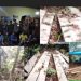 Sumatera Barat Darurat Ilegal Logging, Hutan HPT dan TNKS Terancam Gundul