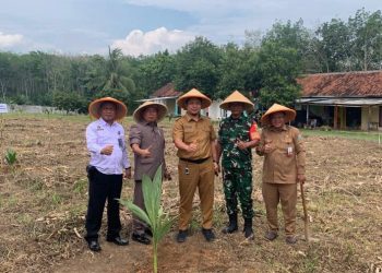 Dukung Ketahanan Pangan Nasional, Lapas Way Kanan Tanam 200 Bibit Pohon Kelapa