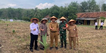 Dukung Ketahanan Pangan Nasional, Lapas Way Kanan Tanam 200 Bibit Pohon Kelapa