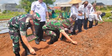Anggota Koramil 410-04/TKT, Dukung Pemda Kendalikan Inflasi dan Ketahanan Pangan