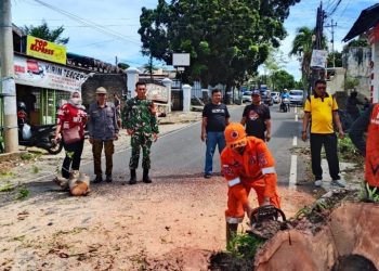 Sertu Heri Hermawan Turun Langsung saat Pohon Tumbang