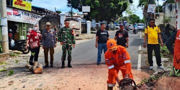 Sertu Heri Hermawan Turun Langsung saat Pohon Tumbang