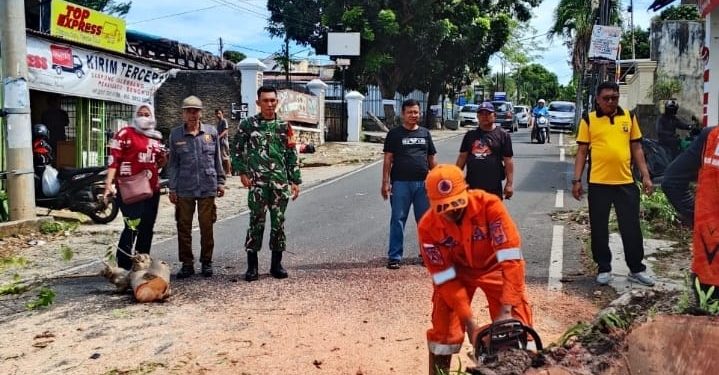 Sertu Heri Hermawan Turun Langsung saat Pohon Tumbang