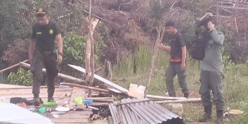 Tim Gabungan Tindak Tegas Perambahan Hutan di Lunang, Industri Kayu Ilegal Jadi Sorotan