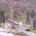 Tim Gabungan Tindak Tegas Perambahan Hutan di Lunang, Industri Kayu Ilegal Jadi Sorotan