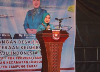 Didampingi Bupati Parosil dan Macik Partinia, Ketua TP PKK Provinsi Lampung Canangkan Desa TAPIS di Lumbok Seminung: Serahkan Sejumlah Bantuan Sosial dan Ekonomi Produktif