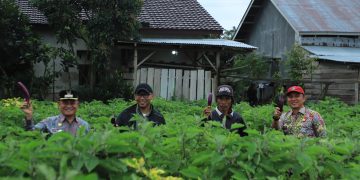 Dampingi Gubernur Lampung Temu Masyarakat Sukau, Parosil Mabsus Curhat Keluhan Masyarakat Lambar