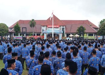 Polemik P3K Paruh Waktu di OKI: Pelantikan Tanpa SK Jadi Pertanyaan