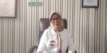 PAD Way Kanan Turun Rp164 Miliar, Meli Ardian Pasang Target Ambisius 7 Persen