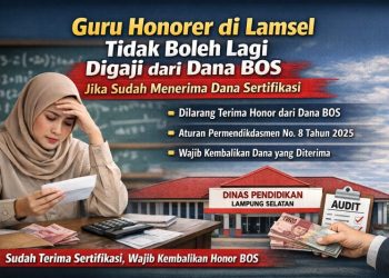 Sudah Terima Sertifikasi, Guru Honorer Tak Boleh Lagi Digaji dari Dana BOS: Simak Penjelasannya
