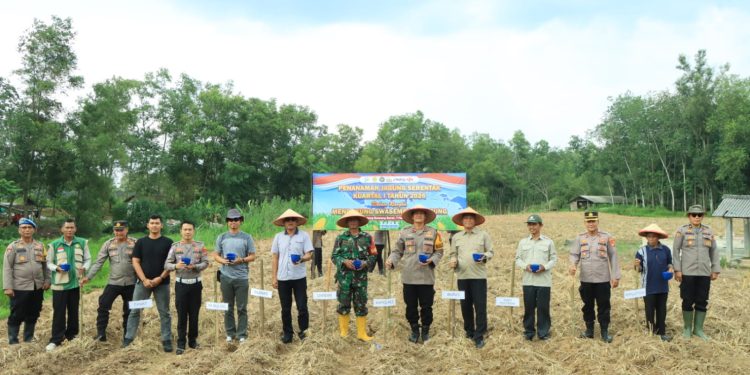 Polres Tubaba Tanam Jagung Serentak Kuartal I Tahun 2026, untuk Mendukung Ketahanan Pangan Nasional