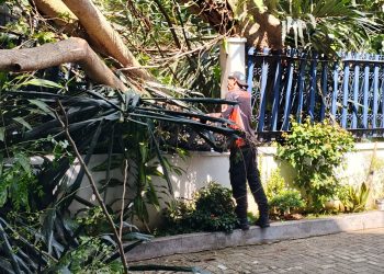 Pelda Enang Kamaludin, Pimpin Evakuasi Pohon Tumbang