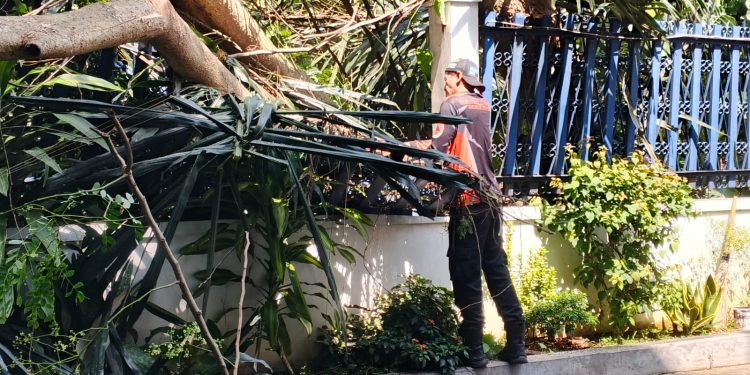 Pelda Enang Kamaludin, Pimpin Evakuasi Pohon Tumbang