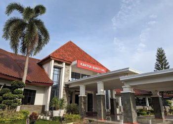 Krisis Pendanaan Media: Peran Pers di OKI Terancam di Era Bupati Muchendi