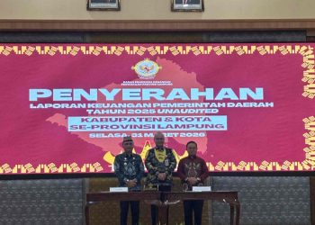 Wakil Bupati Lampung Barat Serahkan LKPD kepada BPK Perwakilan Provinsi Lampung