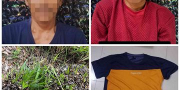 Sat Reskim Polres Tubaba, Amankan Pelaku Pencurian BuahBuah Sawit