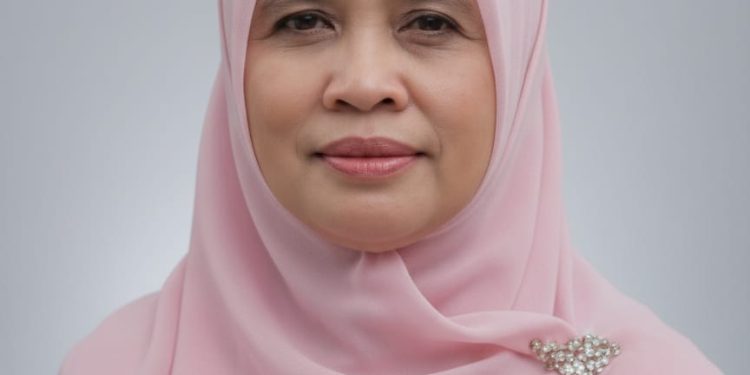 PUPR Lambar Pastikan Akses Jalan Putus Way Tenong – Air Hitam Merupakan Akses Alternatif Bukan Jalur Utama