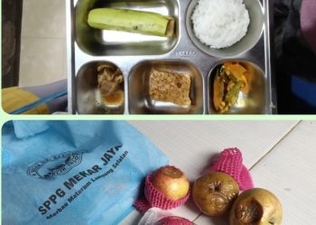 Kedapatan Menyalurkan Buah-Buahan Busuk, Pihak Pemerintah Daerah Harus Tegas Terdapat SPPG Merbau Mataram Mekar Jaya