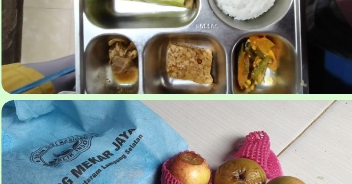 Kedapatan Menyalurkan Buah-Buahan Busuk, Pihak Pemerintah Daerah Harus Tegas Terdapat SPPG Merbau Mataram Mekar Jaya